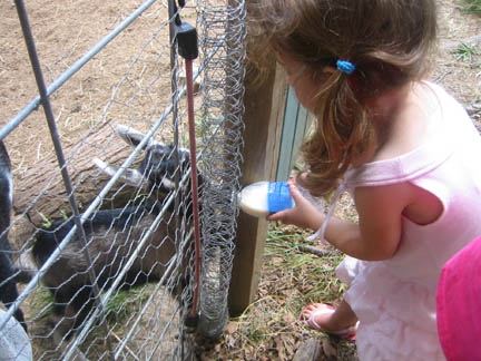 farm9.jpg
