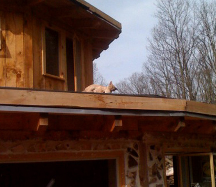maxroof3.jpg