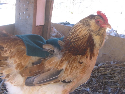 verasapron