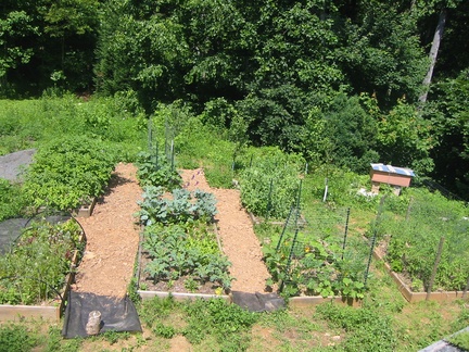 gardenjune2